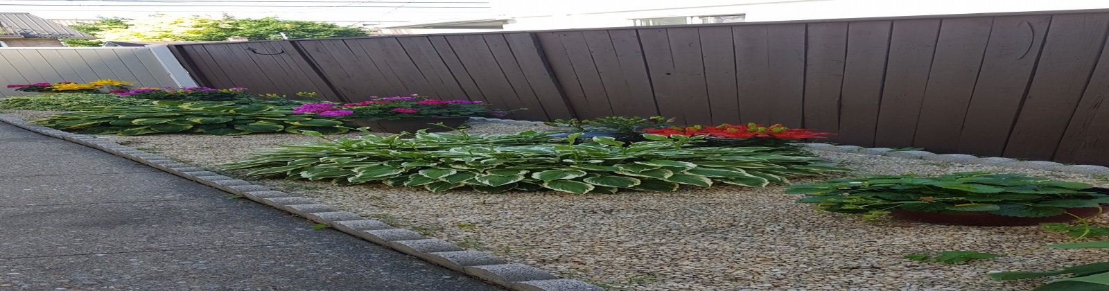 Maison,À vendre,1136